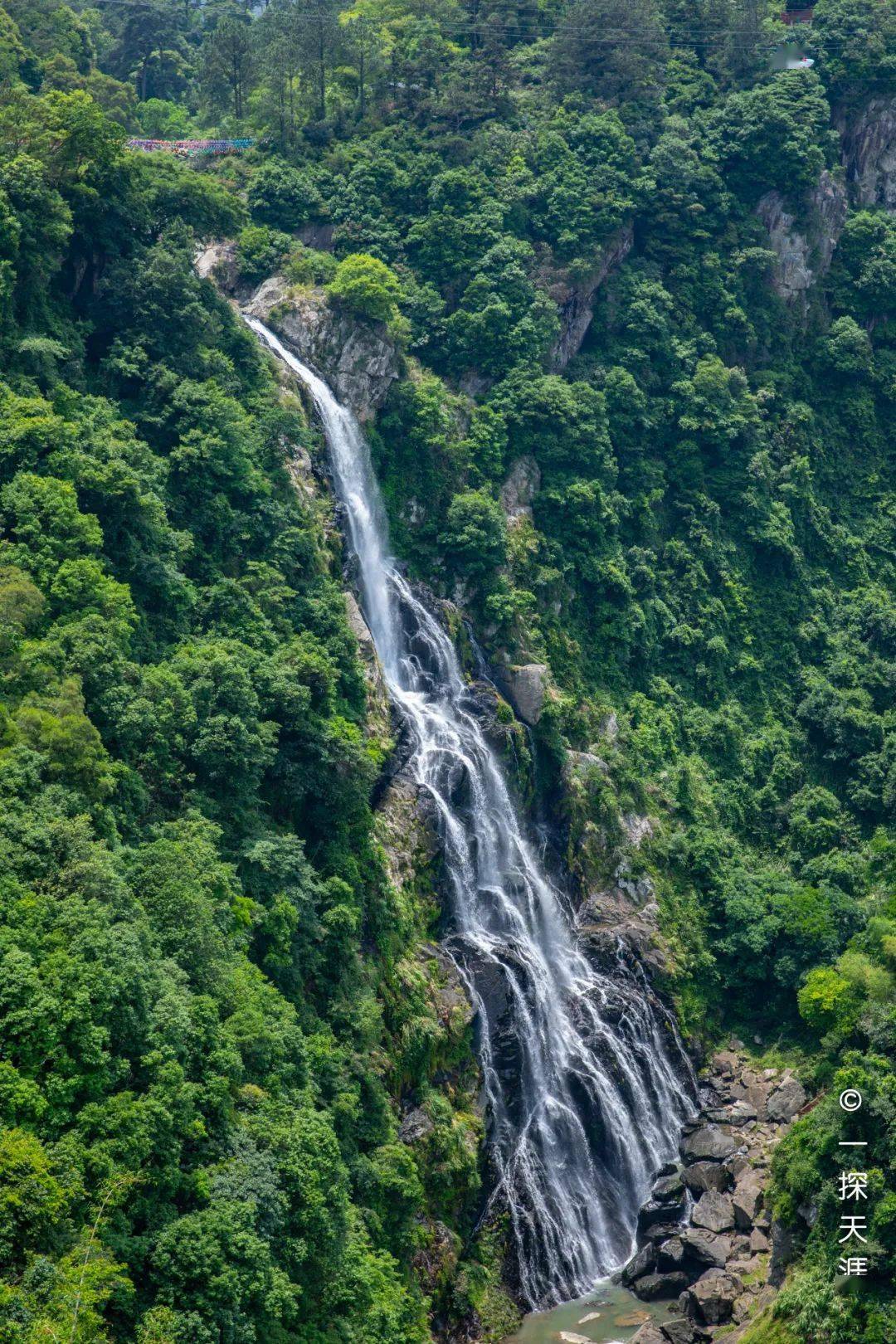 整全了這份洛江旅遊指南值得好好收藏