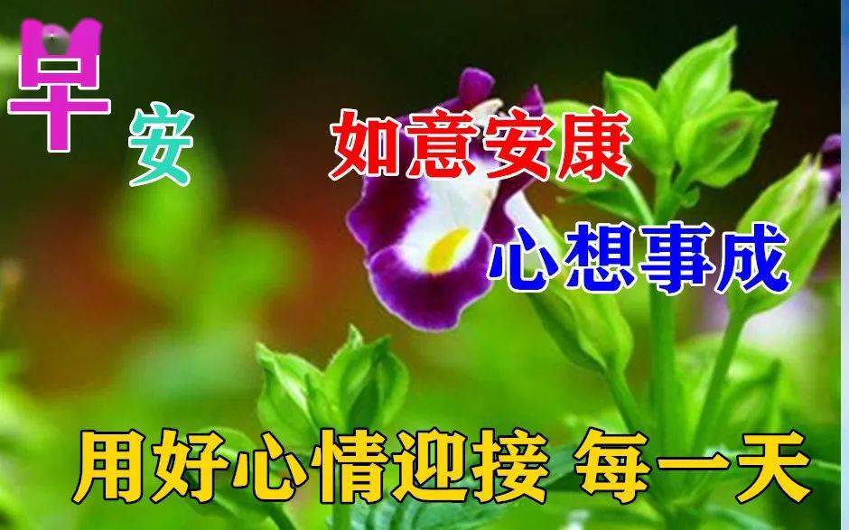 67最漂亮早上好动态表情图片及动图美图大全 一帆风顺,真美!
