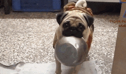 430_253gif 动态图 动图