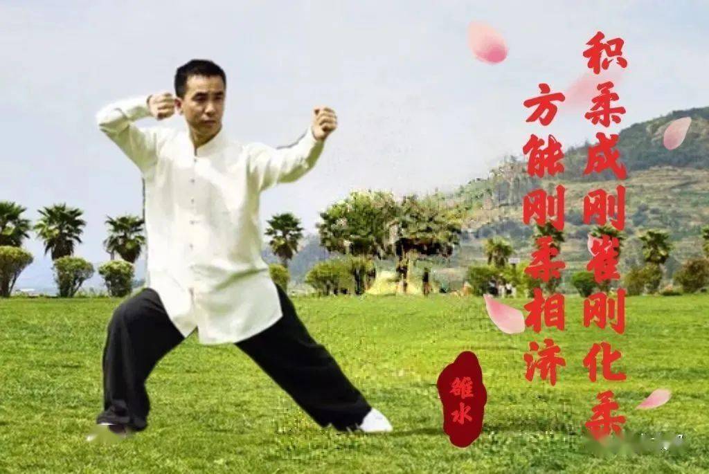 [辰武讲堂]传统杨氏85式太极拳(11)进步搬拦捶_梁辰武_公益_扎西