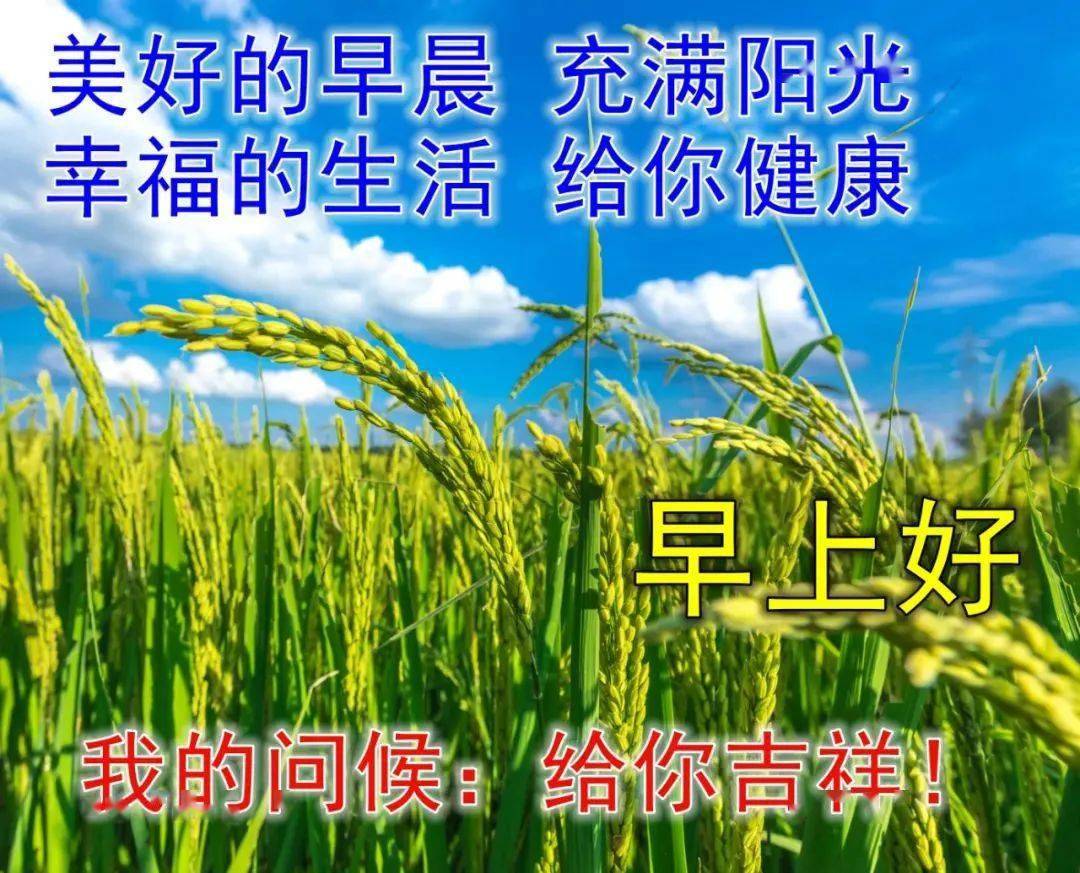 8张最新漂亮夏天风景早上好图片带字带祝福好看的朋友圈早安问候祝福