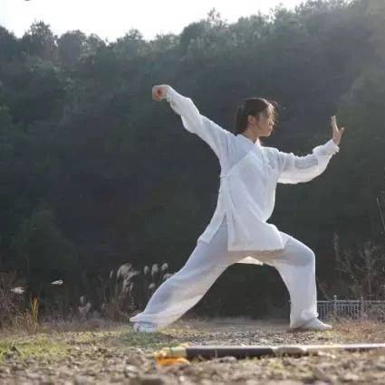 初学者福利！什么是太极拳的规矩？句句经典_功夫_动作_左手