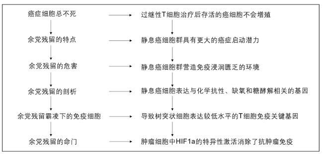 Cell的套路曝光了 故事逻辑你都能模仿 还不进来看看 癌细胞 免疫 肿瘤