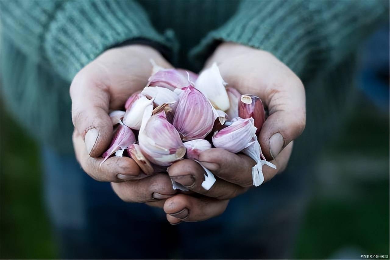 经常吃大蒜是爱肝还是害肝医生说出实情别不听劝
