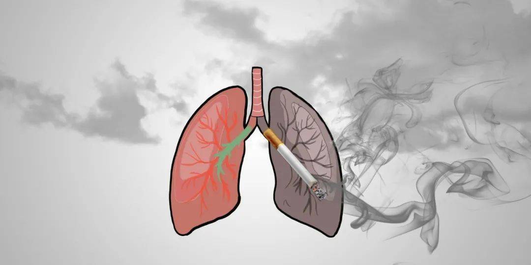 戒烟多久才算成功?至少一年不吸烟才算成功.