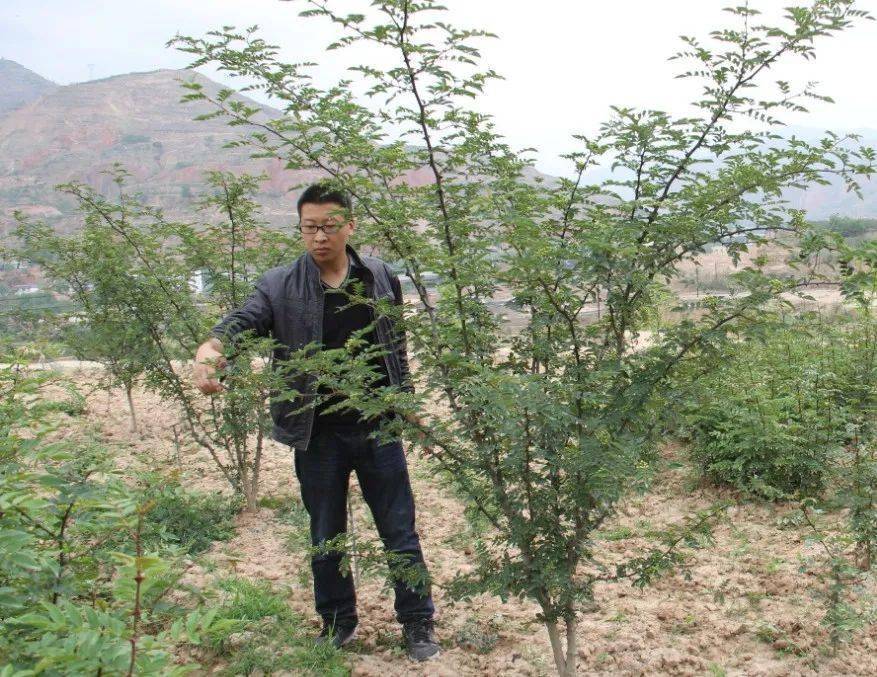 奋斗者正青春陇南青年五四奖章获得者曹永红