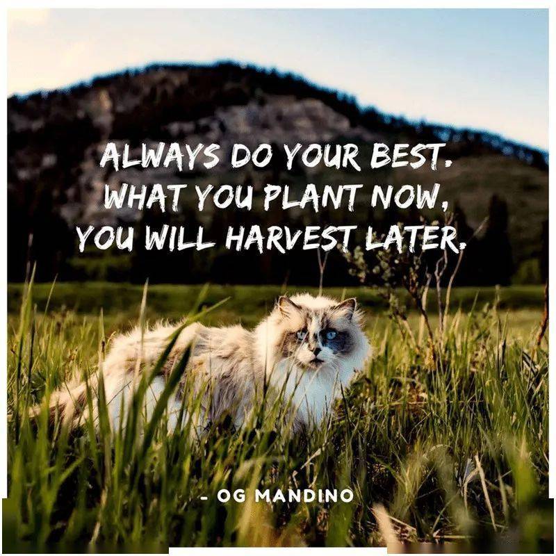 15句励志英语句子总有一句激励着你