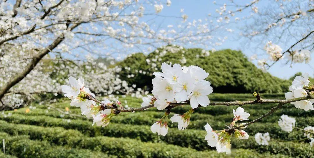 官宣浙江科技学院2022年普通高校招生章程发布