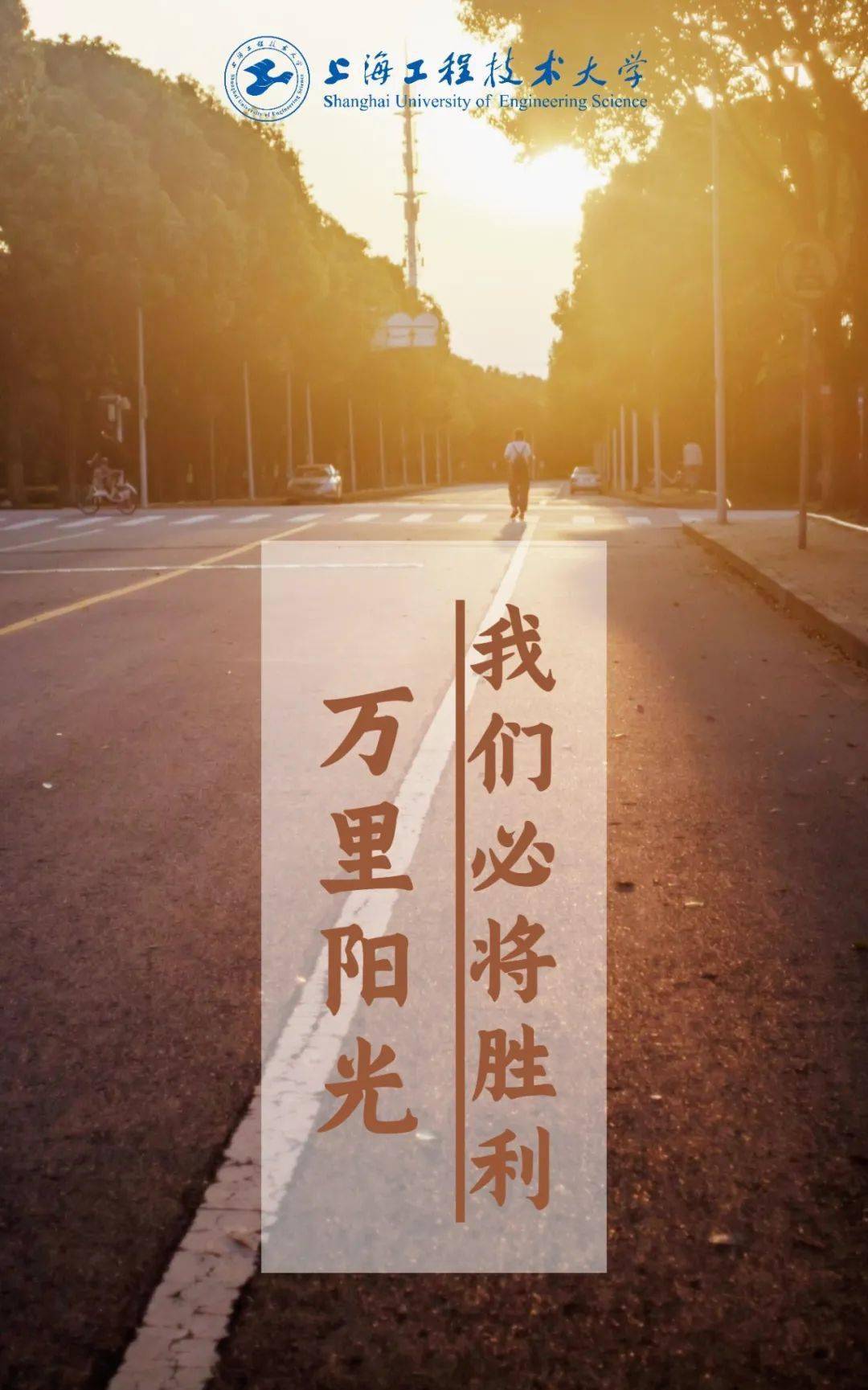 披星戴月走过的路终将会繁花遍地今日秣马坚如铁他日功成朝天阙迎着