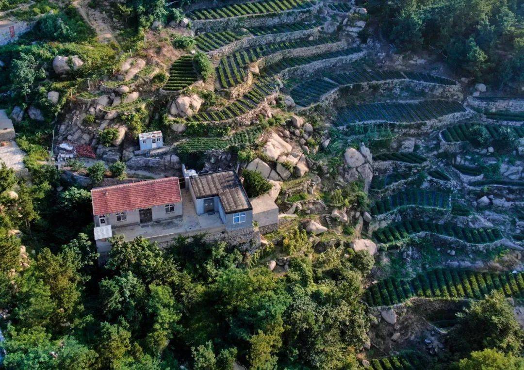 藏在崂山里的古村山清水秀马鞍子