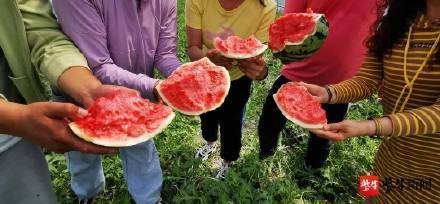 满满9车请院士吃瓜