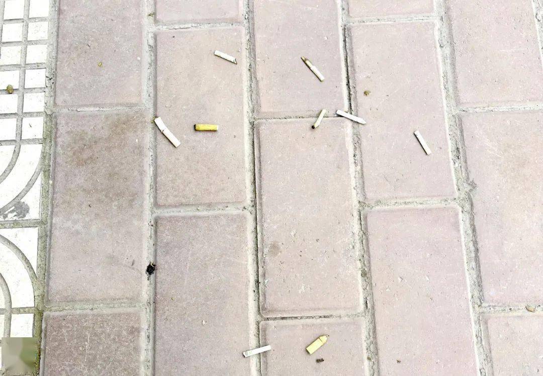 创文世界无烟日烟头随手乱丢现象依旧存在烟蒂收集设备被闲置