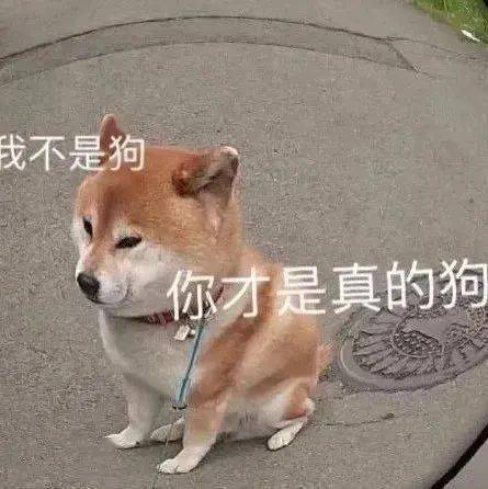 聊天必备的沙雕表情包_头像_微信_壁纸