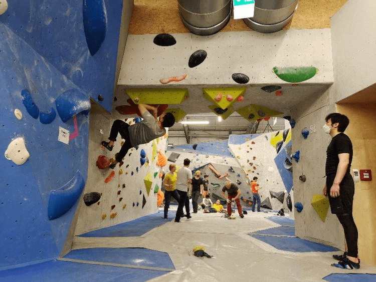 叭勒个叭叭叭叭叭姑姑每年必包的咸蛋黄肉粽.