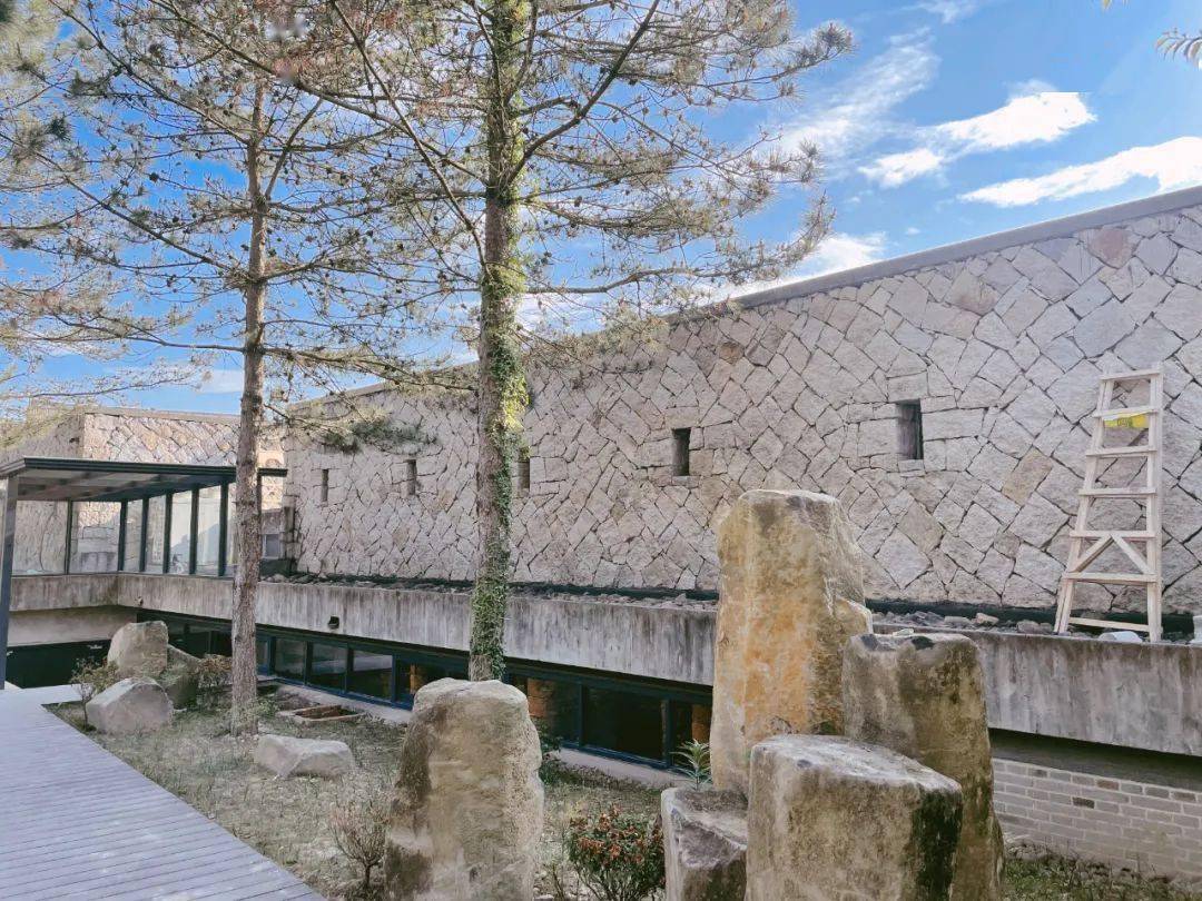 quot六一quot归来天台博物馆恢复开放发现多了两头quot活的quot远古