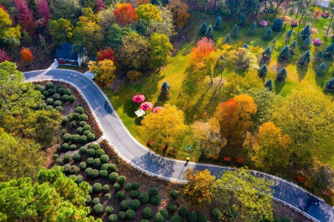 六合这么多绿道,你来过吗?_公园_街道_休闲