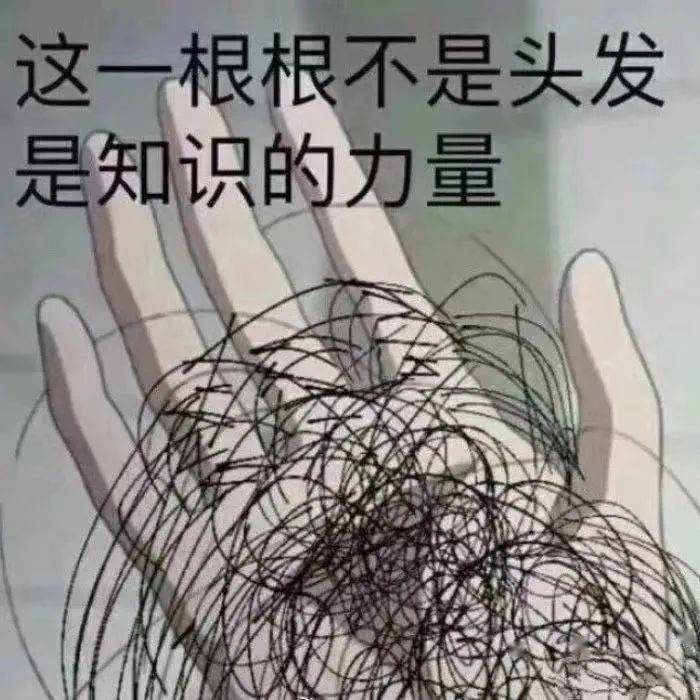 期末背书表情包图片