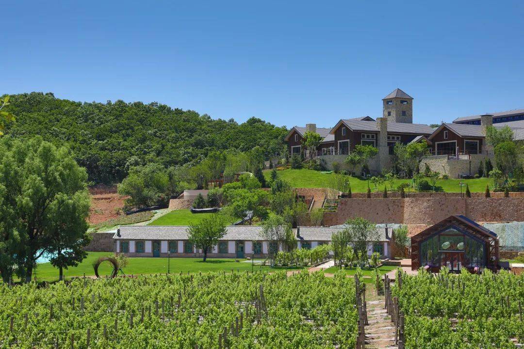 遛娃好去处初见便会爱上的谷果营地