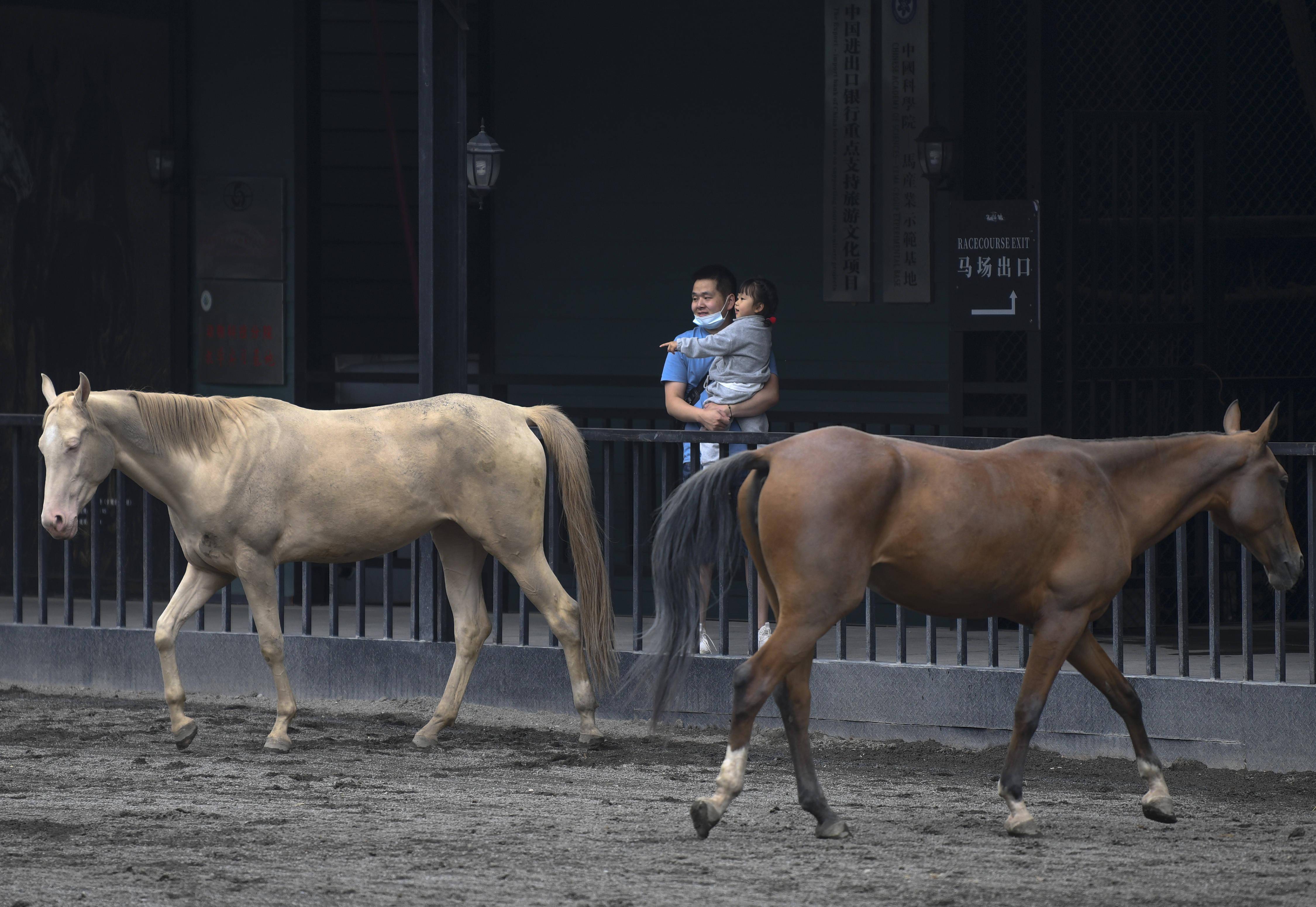 当萌宝遇到萌马