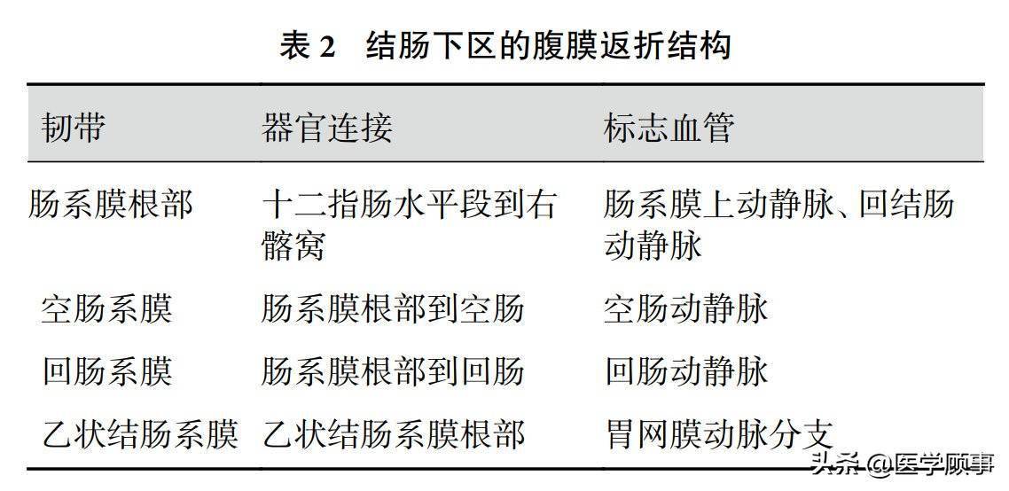 腹膜反折结构的影像解剖及疾病播散途径