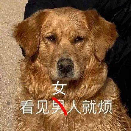 抖音热门表情包i我也不知道说什么无语