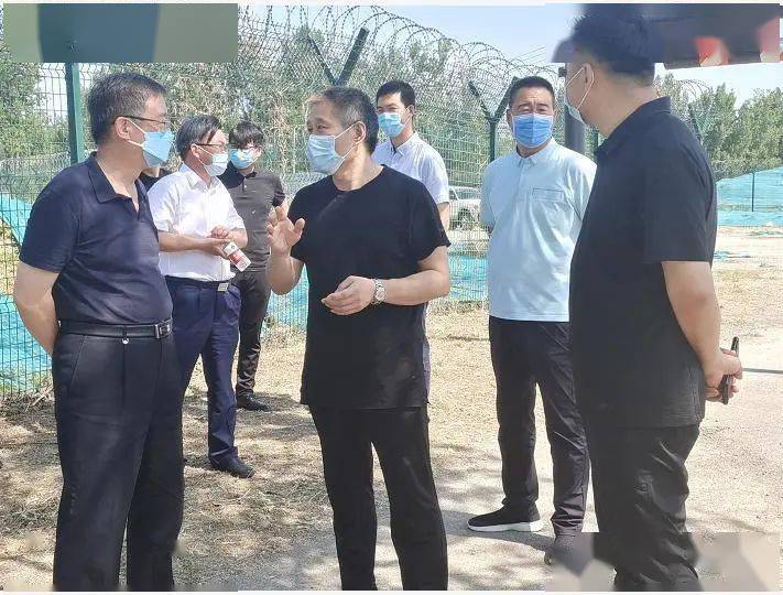 市园林绿化局调研我区揭网见绿工作