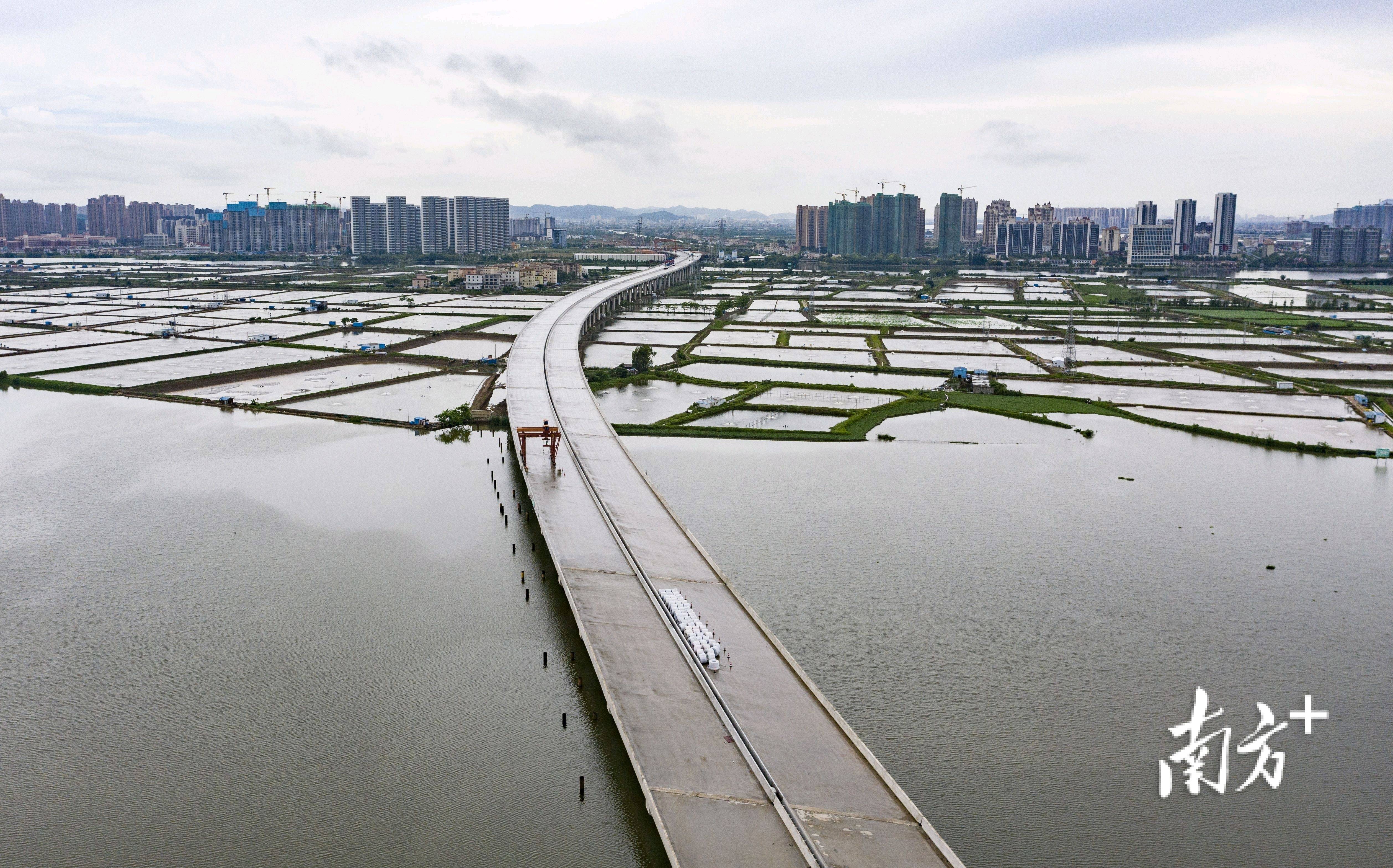 香海大桥西延长线图片