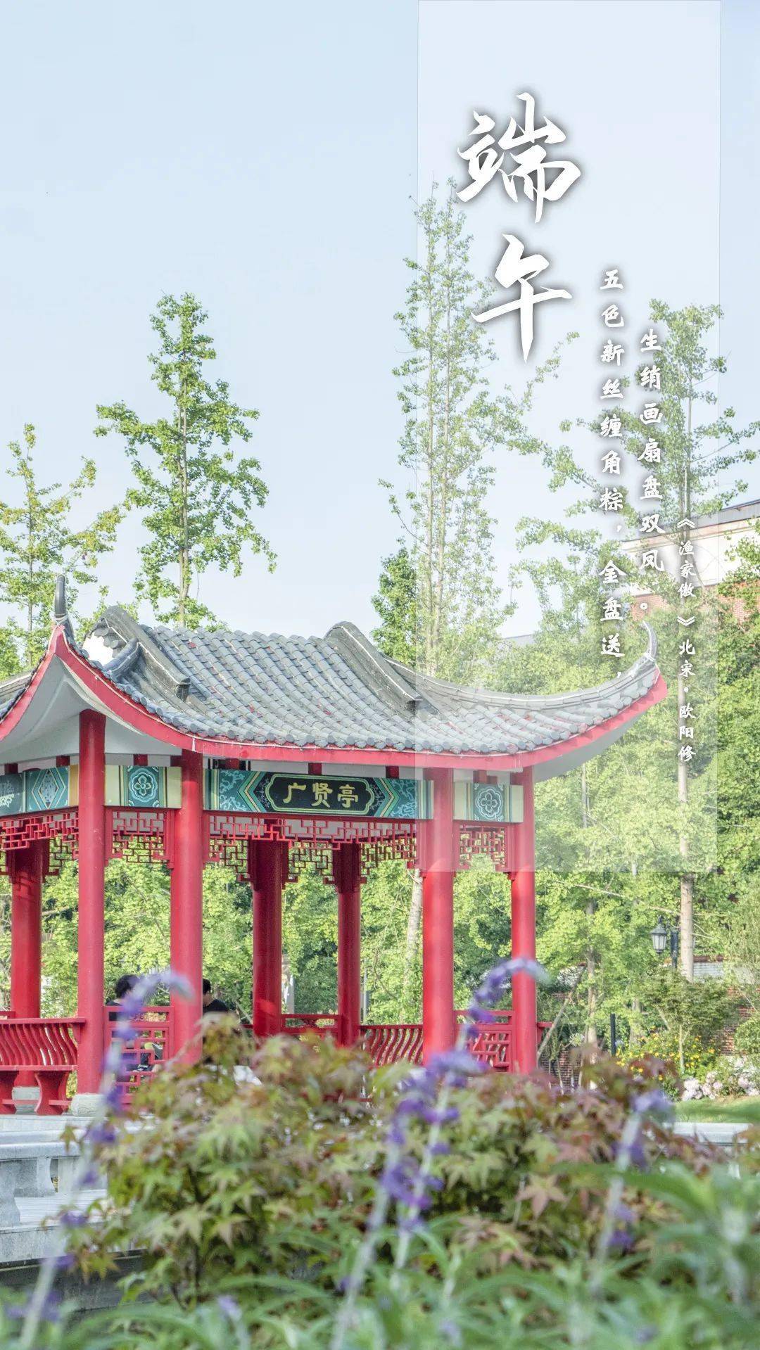 菁菁川影与你共听端午的声音