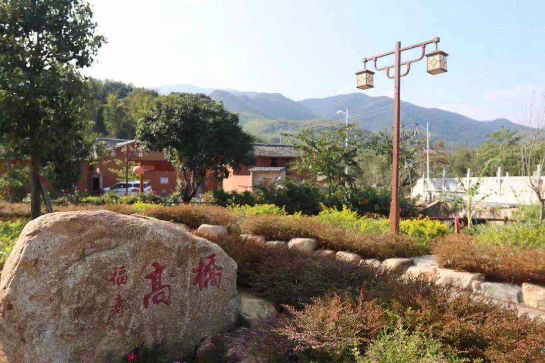 端午游新丰,美好接"粽"而至!_高桥村_乡村_革命