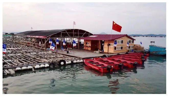 魚排體驗:海上魚排海釣,趣逗海豚和海龜合影前往海上魚排,在魚排釣魚.