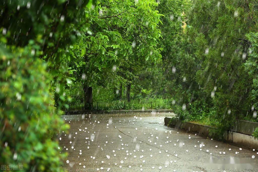 黄梅时节家家雨春早池塘处处蛙