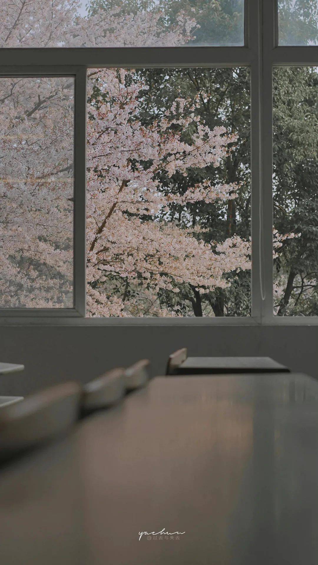 这才是氛围感日常