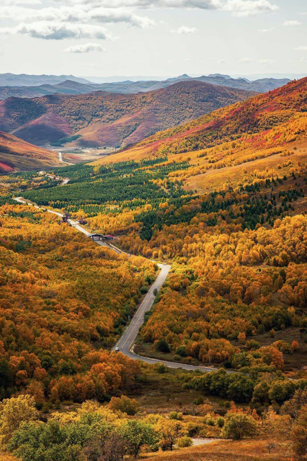 什么是大兴安岭?_中国_东北_山脉