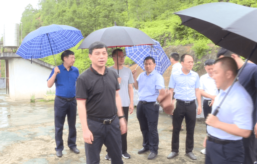 市政府副市长陈阳山在会昌督导地质灾害防治和指导三区三线划定工作
