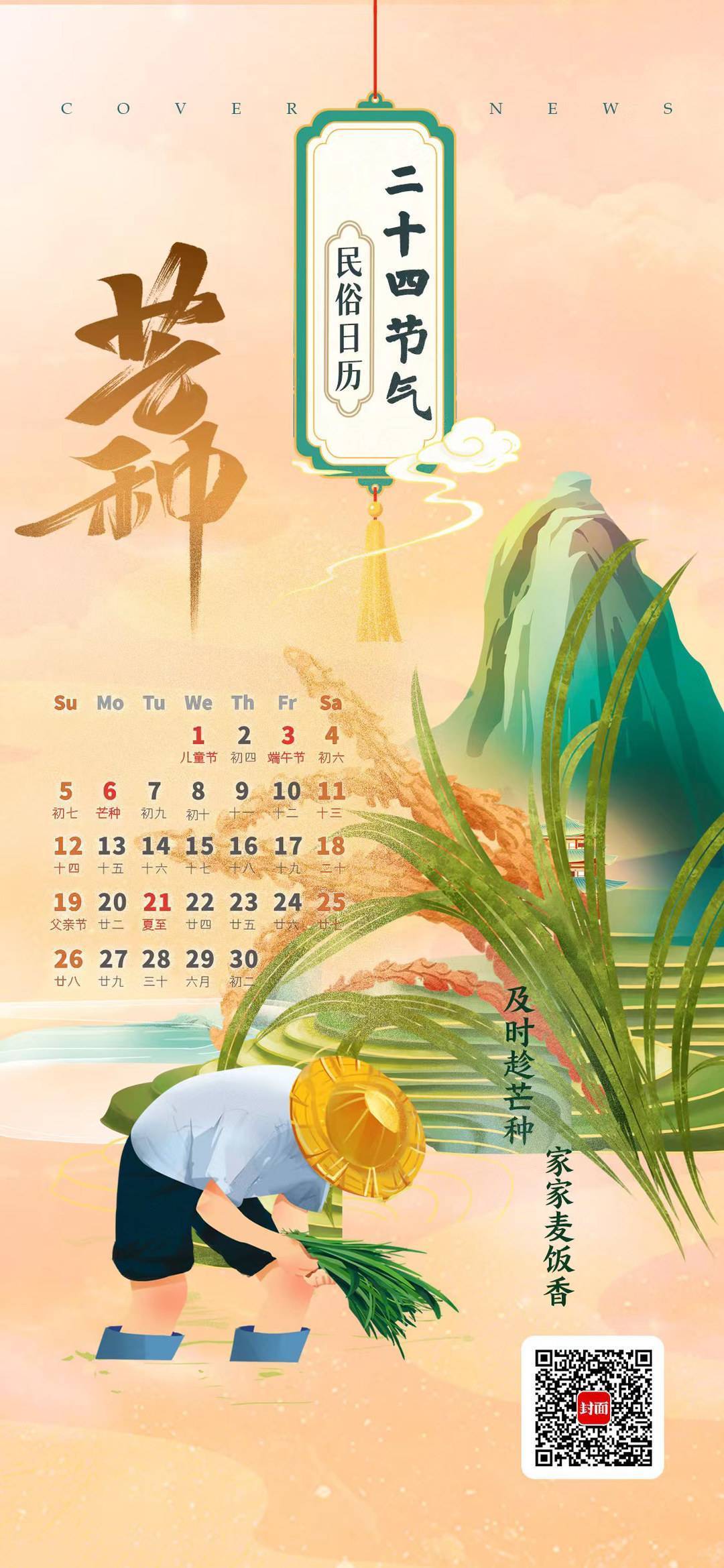 芒种四野皆插秧仲夏青梅香民俗日历二十四节气