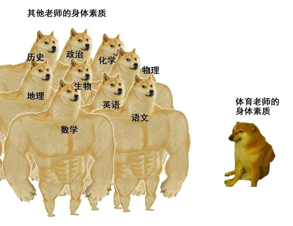 30张猫咪搞笑meme图