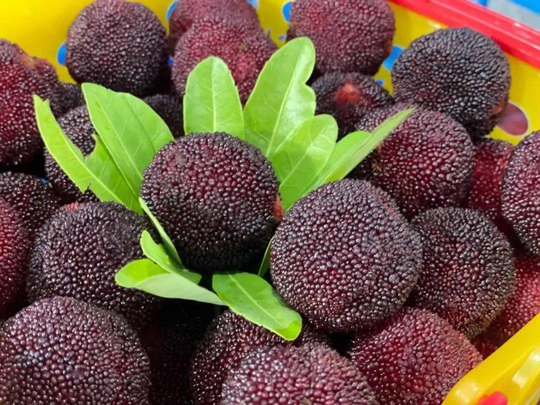 【一份起送 | 荸荠杨梅| 单份配送】89元荸荠杨梅5斤,静享美味杨梅_图