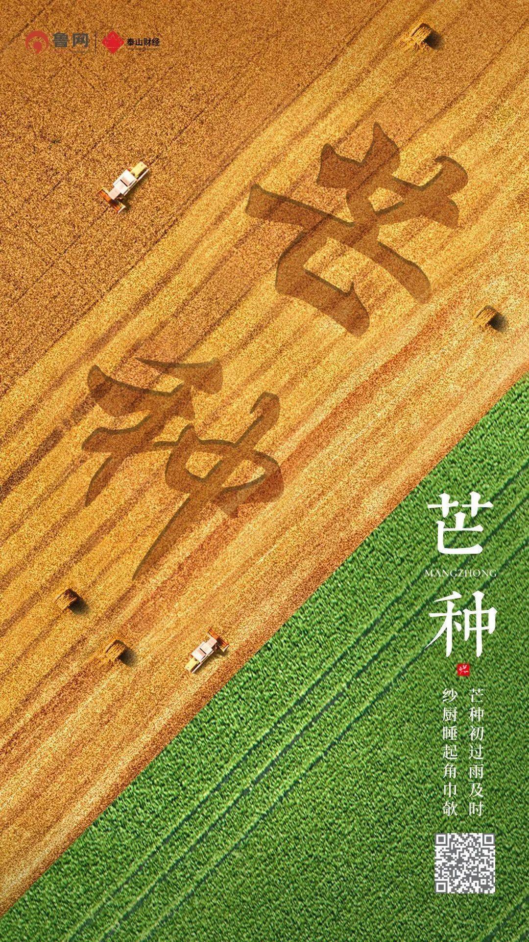 【芒种】时雨及芒种 四野皆插秧_今日芒种_淄博_大忙时节