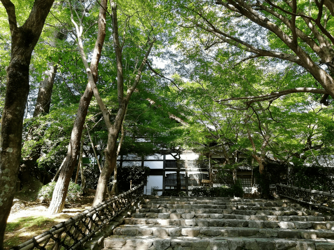 龙安寺石庭之谜图片