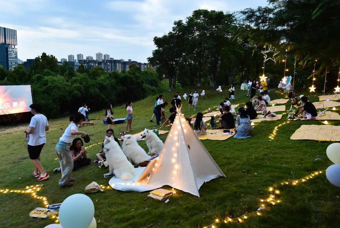 社区公益宠物公益汪星人运动会文明进行时