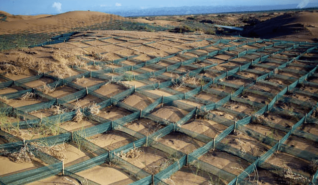 草方格挡土墙图片