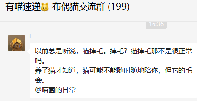 97 全球高考愛貓吸貓,認準有喵青年▼返回搜狐,查看更多