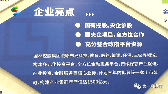 国林系多家公司涉非吸被立案 曾以假材料冒充国企被打假(图2)