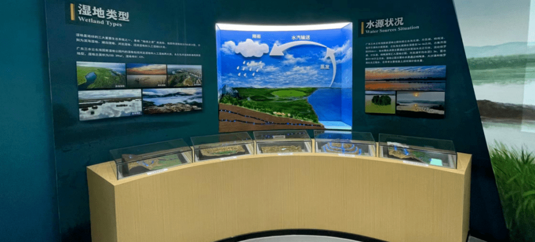 云东海国家湿地公园,森林公园入选市中小学生研学实践教育基(营)地