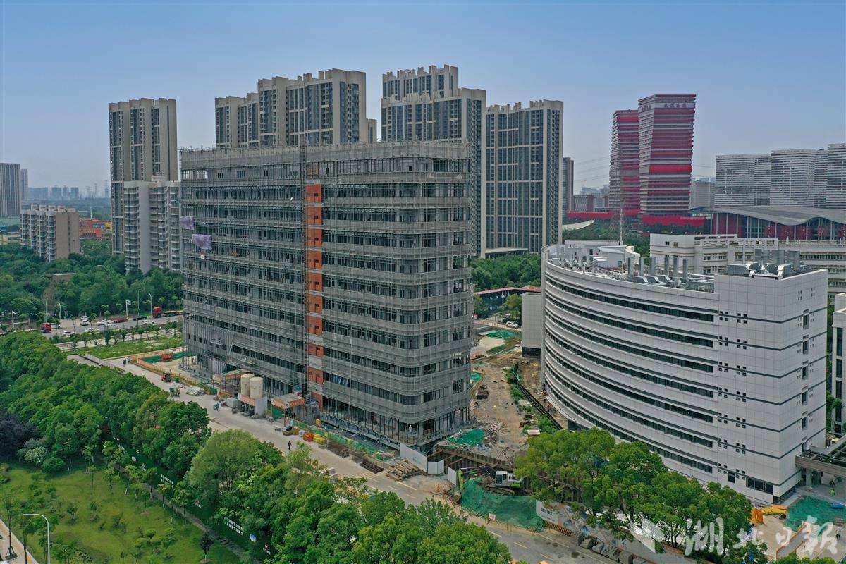 武汉金银潭医院新建项目全部封顶