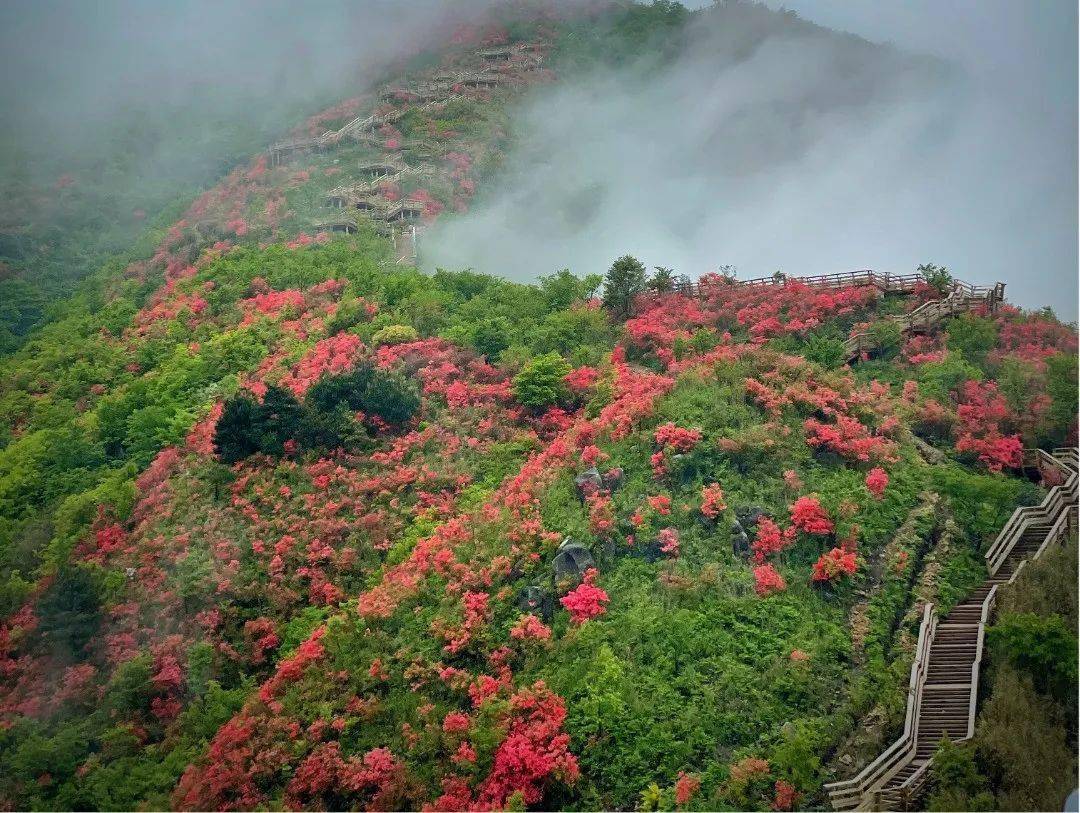 文旅项目投资衢州六春湖旅游度假区持续发力文旅项目建设多点开花