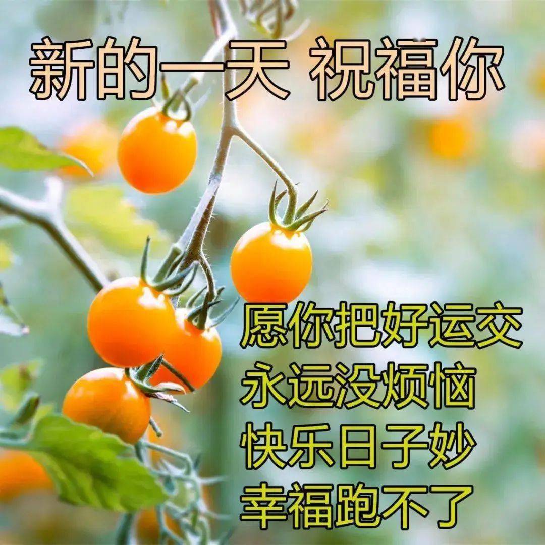 微信群发早晨好图片带字祝福语很漂亮的早晨好下雨天祝福语图片带字