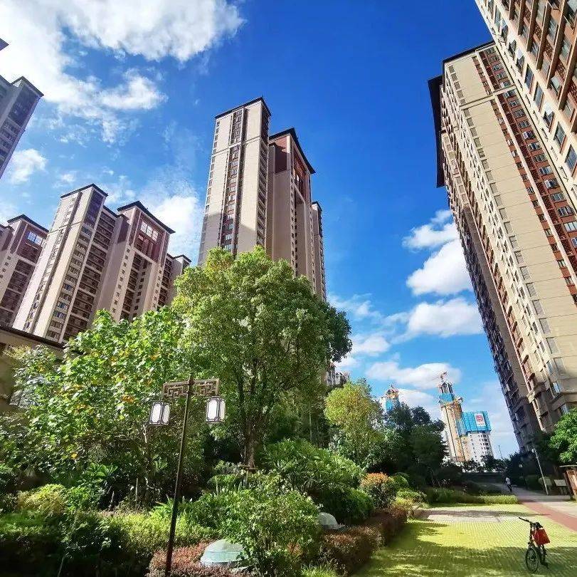 好消息！厦门将新增2万套！事关这些群体→_住房_群众_租金