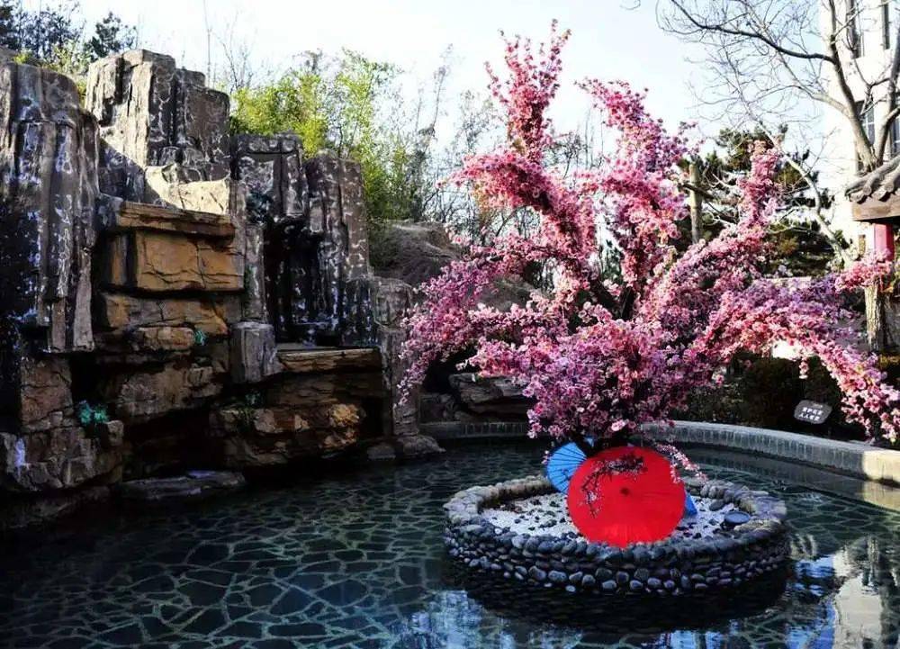 西部长青招商公告