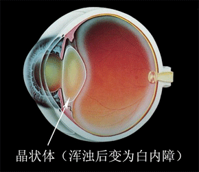 眼科关注普遍眼健康共筑睛彩大健康